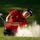 Phil Mickelson