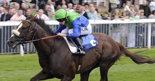 King Of Dixie York