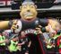 Hill retires on a high 
