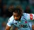 Waratahs hold Stormers