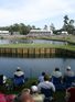 The fifth major?