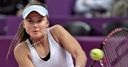 D Hantuchova