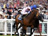 Mr Aviator (USA)