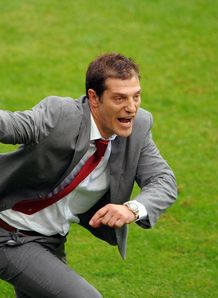 365 Bilic
