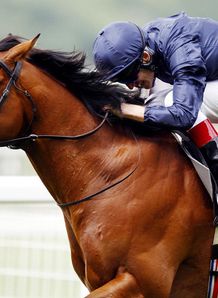 Duke Of Marmalade 3