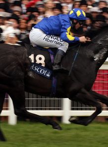 Kingsgate Native Golden Jubilee