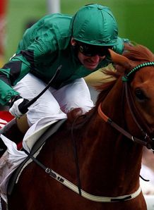 New Approach Derby close up