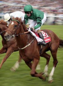 Approach ready for Newmarket 