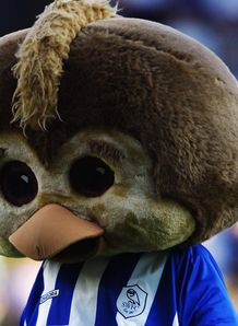 Sheffield Wednesday Owl