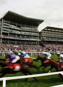 York Races