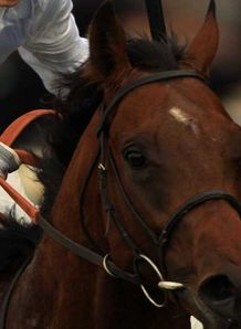 Art ready for Curragh date