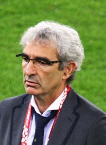 raymond domenech italy v france
