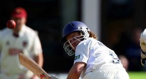 Foxes wounded at Cheltenham