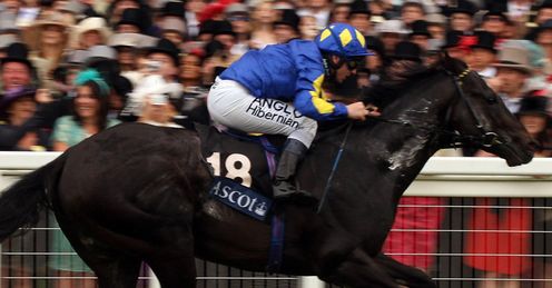 Kingsgate Native Golden Jubilee
