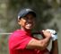 Woods plans swing changes