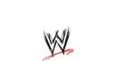 WWE Summer Slam!