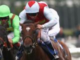 Dreamwalk (IRE)