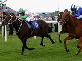 Patrician's Glory (USA)