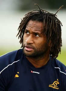 Trio return for Wallabies