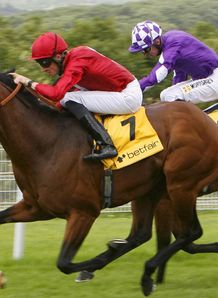 Paco a Breeders' cup no-no