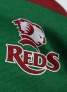 queensland reds badge