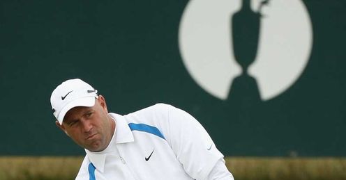 Cink: Butterflies