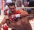 Wlad's yawning glory