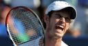 Is Murray mint?