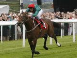 Cry of Freedom (USA)