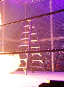 WWE SummerSlam Undertaker Edge
