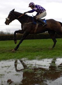 Waterlogged generic racing generic
