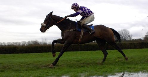 Waterlogged generic racing generic