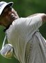 Vijay Singh