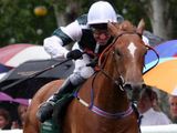 Art Princess (USA)