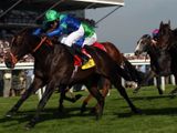 Lord Shanakill (USA)
