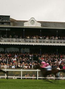 Ayr announce Saturday card