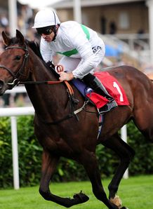 View to miss Breeders' Cup