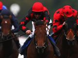 Ballochroy (IRE)