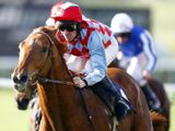 Captain Dancer (IRE)