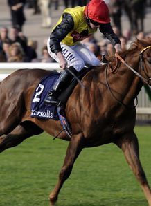 Ashram ready for Dewhurst
