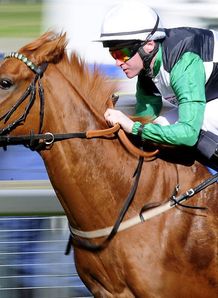 Sharp Blades set for Ascot 