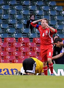 Craig Bellamy penalty woe v Liechtenstein