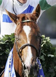 Godolphin waiting for rain