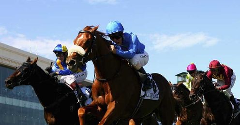 All The Good Caulfield Cup 18/10/2008