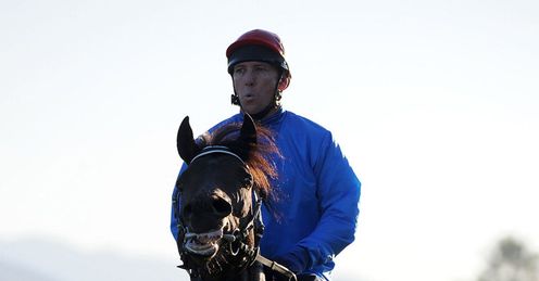 Breeders Cup Eagle Mountain work