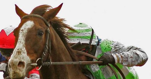 Iris de Balme c2006