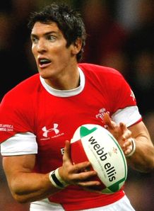 James Hook Wales v South Africa