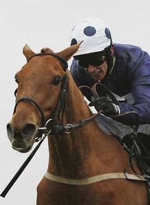 Stylish return for Ashley