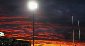 England 24 New Zealand 36