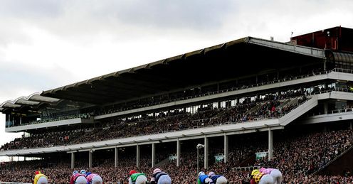 cheltenham generic